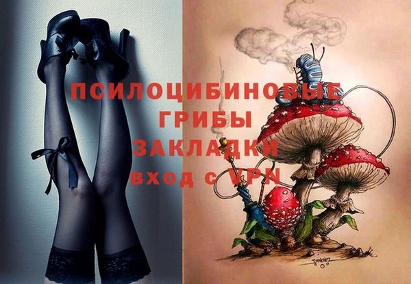винт Аркадак