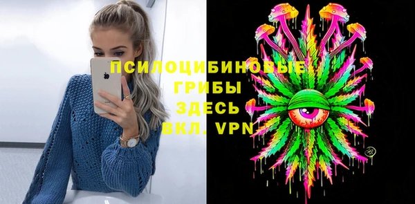винт Аркадак